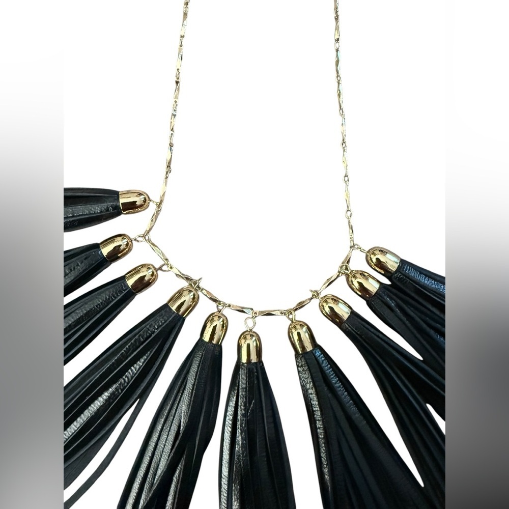 BaubleBar Black and Gold Tassel Necklace - Picture 3 of 11